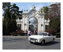 Volvo P 1800