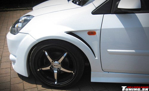 ford fiesta lester tuning