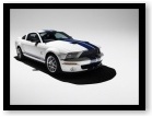 kliknutím zvětšit Shelby GT500