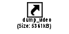 download/dump_video