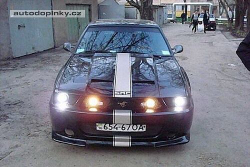 Mустанг - z Lady Mustang