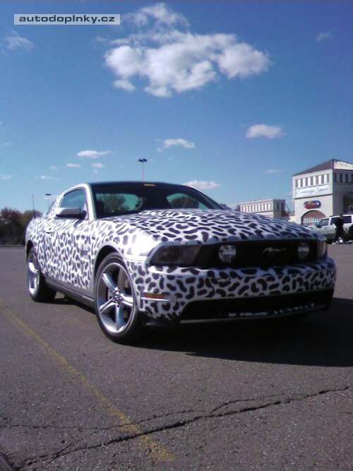 Nov� Mustang zachycen �piony