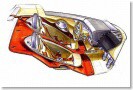 Fenomenon Stratos