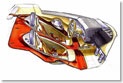 Fenomenon Stratos
