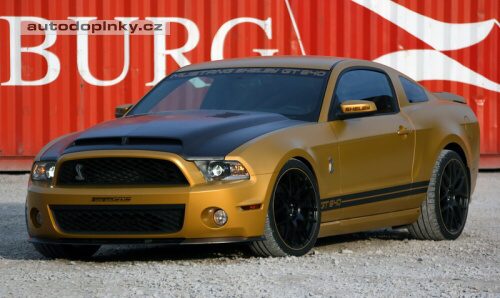 Mustang Golden Snake