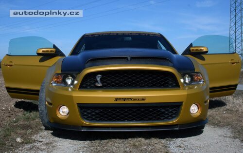Mustang Golden Snake