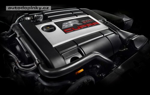 Nov� Leon Cupra R