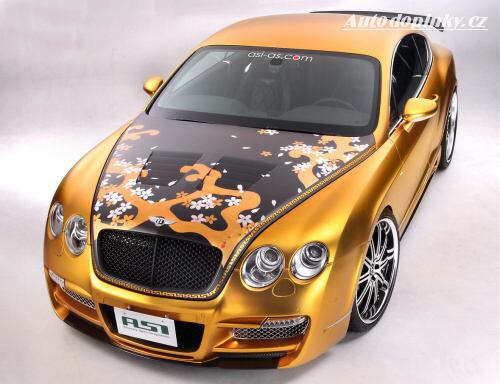 Continental jako kv�tinov� d�t�
