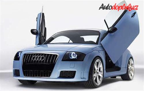 Audi TT Callisto