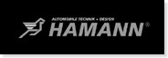 Hamann BMW Z4