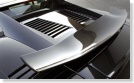 Hamann Gallardo