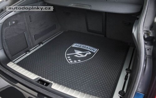 Hamann Tycoon agresivně