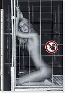 kliknutím zvětšit Sexy kalendář 2007